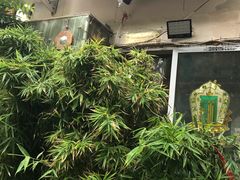 -陈记麻辣烫(浦口道店)