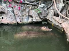 -长鹿旅游休博园