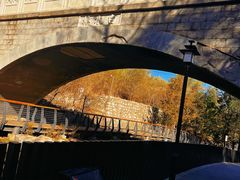 -白水寺森林公园