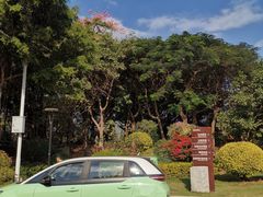 -五缘湾湿地公园
