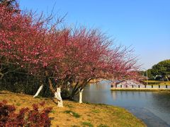 -白塘生态植物园