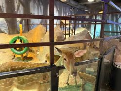 -酷嗒动物文化乐园(cutezoo西溪乐天城店)