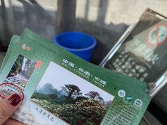 -苍山感通索道
