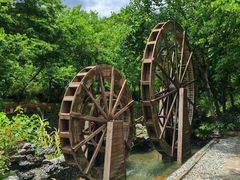 -广州白江湖森林公园