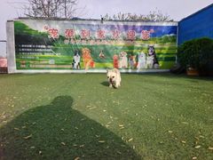 -宠物寄养训练学校