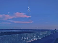 -南汇嘴观海公园