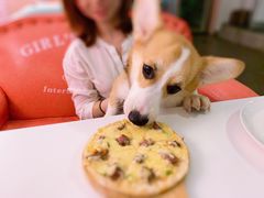 -百好乐宠物友好餐厅(朝外大街店)