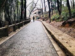 -灵岩山风景区