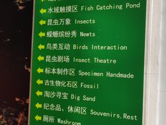 -上海大自然野生昆虫馆(东方明珠·爬宠昆虫探索中心)