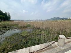 -青山湖景区