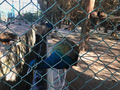 -南京金牛湖风景区