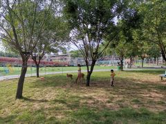 -北京鹿世界主题园