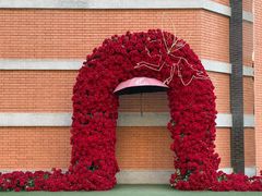 -西安电影制片厂