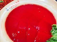 鲜鸭血-晓宇重庆火锅(赛格国际购物中心店)