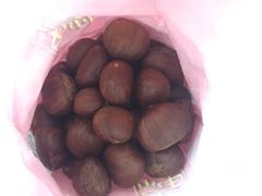 -金栗王(清扬路店)