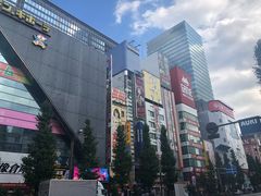 -秋叶原电器街
