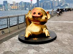 -星光大道