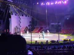 -灵玲国际马戏城