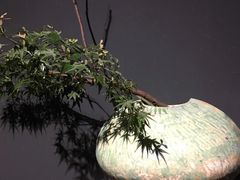 -苏州本色美术馆