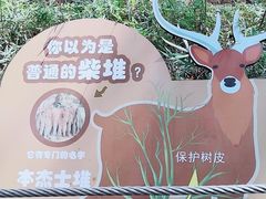 -广州动物园