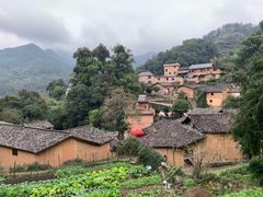 -杨家堂村