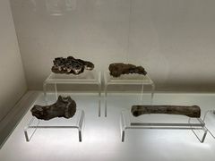-旅顺博物馆