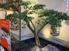 -小厨娘淮扬菜(六合欢乐港店)