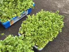 -StorHub 趣存自助仓·迷你仓(虹桥店)