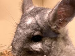 -龙猫仔乐园(惠福东路店)