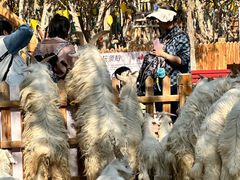 -水上乐园·欢乐世界