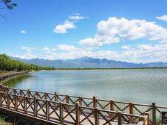 -野鸭湖国家湿地公园