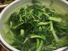 生态鸡毛菜-西新饭店(城中店)