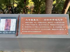 -马王堆汉墓遗址