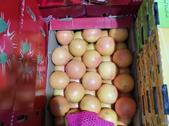 -上海龙吴水胜海发市场