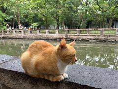 -西园戒幢律寺