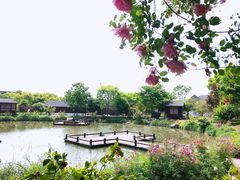 -鹅湖玫瑰文化园