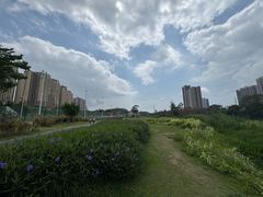 -大亚湾红树林城市湿地公园