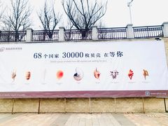 -青岛贝壳博物馆