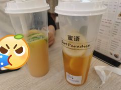 -Swt Paradise蜜语咖啡奶茶鲜果茶(金光华广场店)