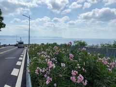 -龙溪海鲜酒家(溪涌店)