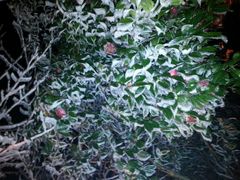 圣井山雪景-瑞安圣井山景区