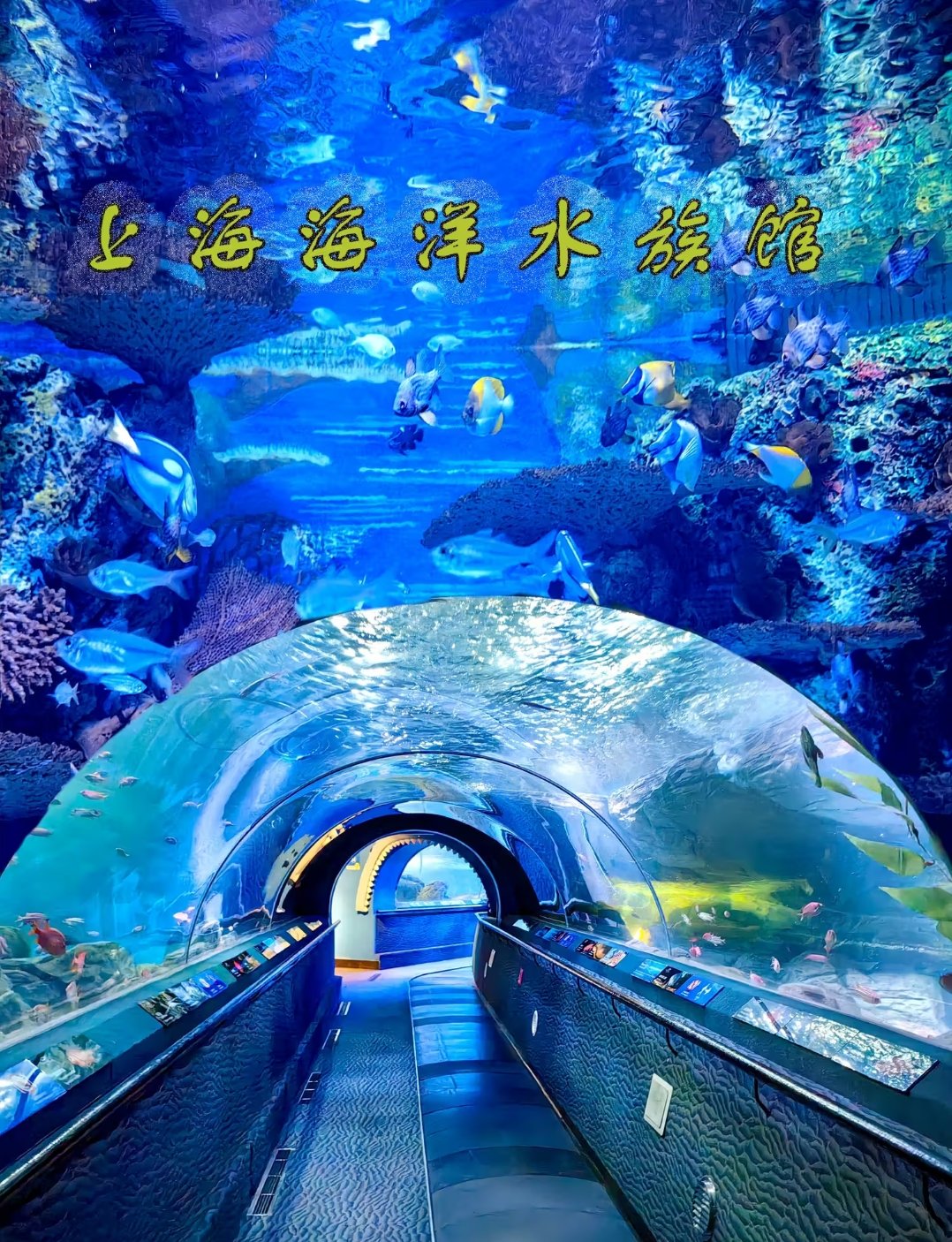 上海海洋水族馆简笔画图片