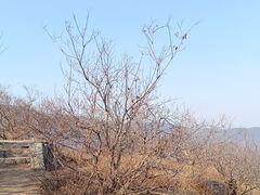 -香山公园