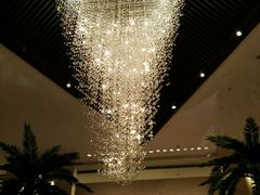 -常州环球恐龙城维景国际大酒店