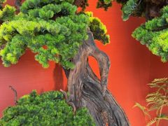 -阿伟海鲜楼·福建菜(延寿店)