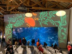 -西雅图水族馆