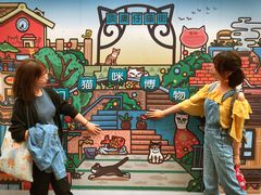 -猫咪博物馆(顶澳仔猫街店)