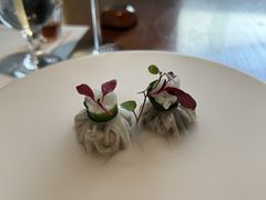 -觀芷隐轩