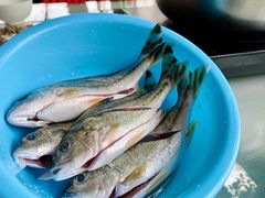 -蚝乡农庄(铁涌赤岸店)