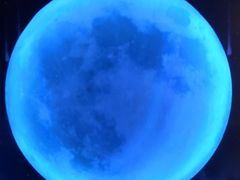 -梵高星空艺术馆(北京旗舰店)